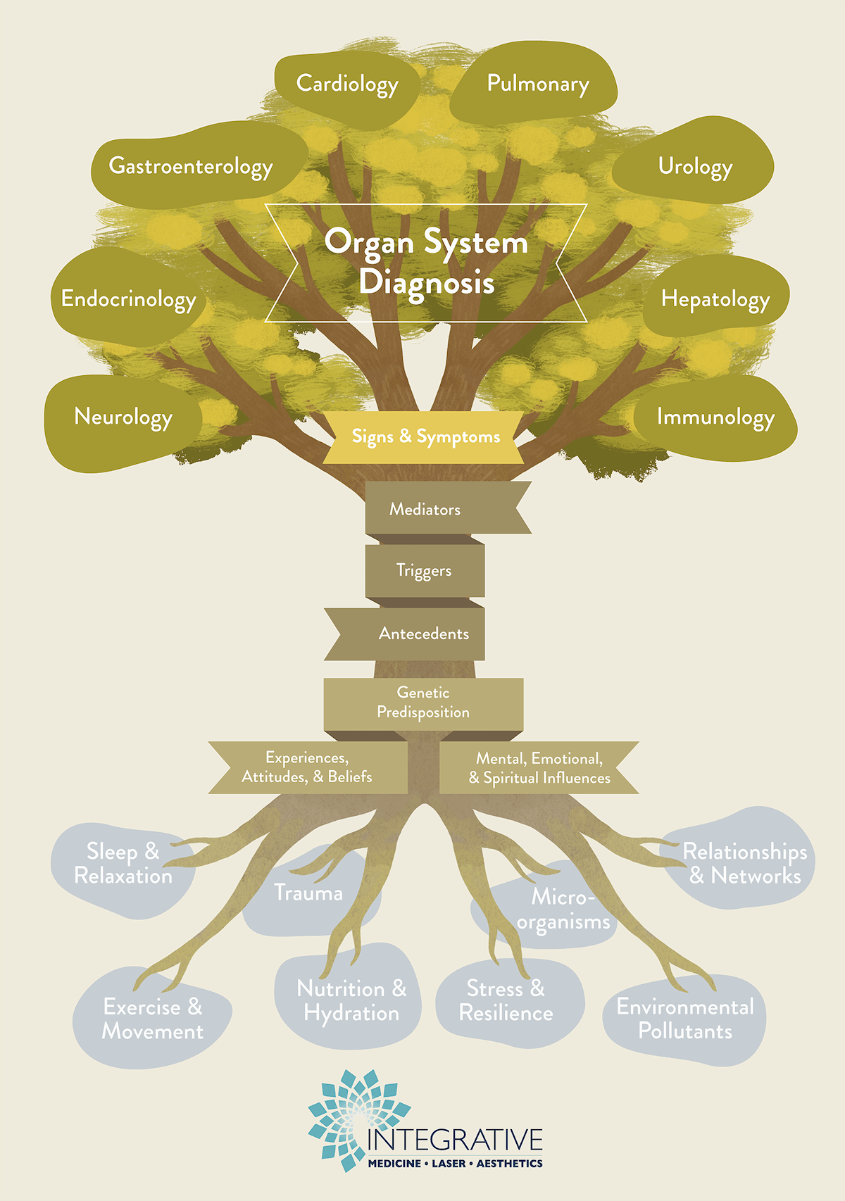 Functional Medicine Tree
