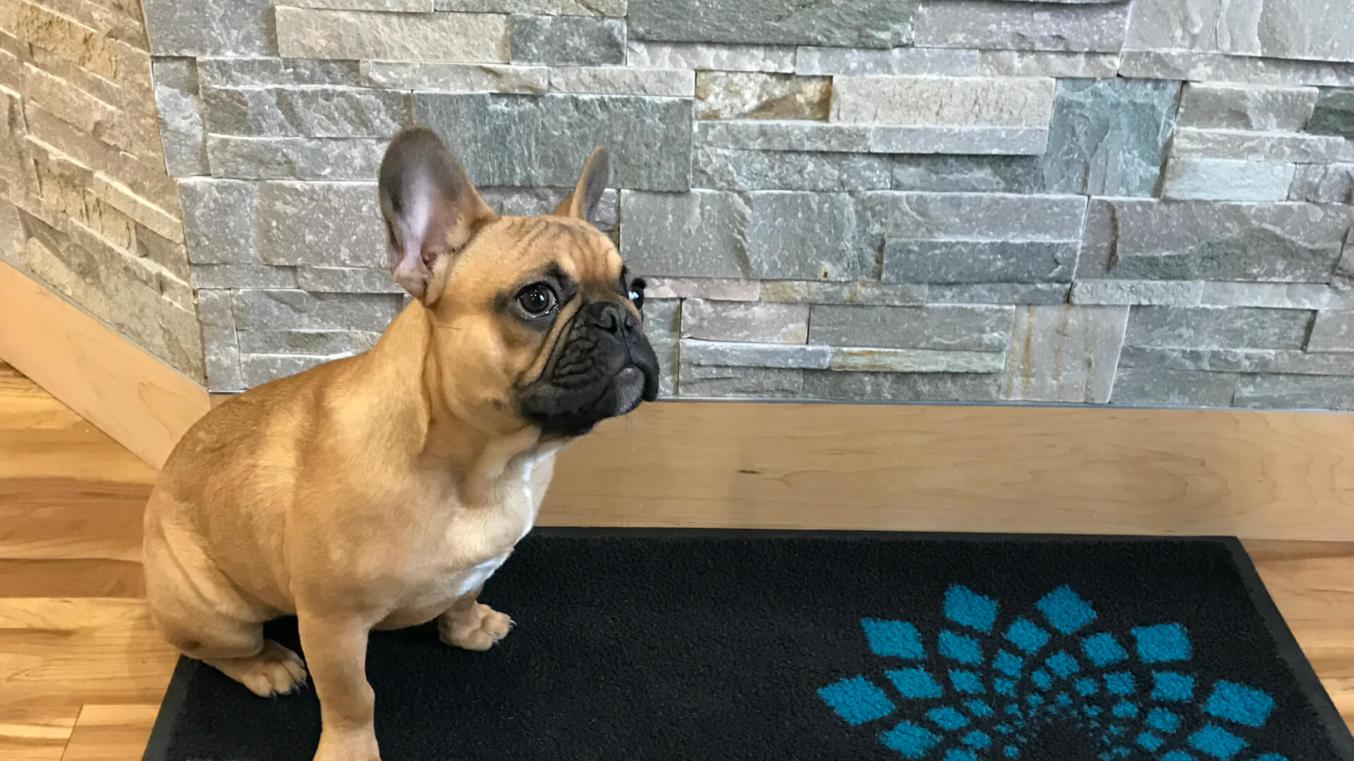 Meet Integrative Medicine, Laser and Aesthetics Gallery